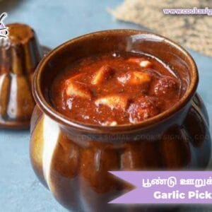 Quick and Easy Spicy Garlic Pickle