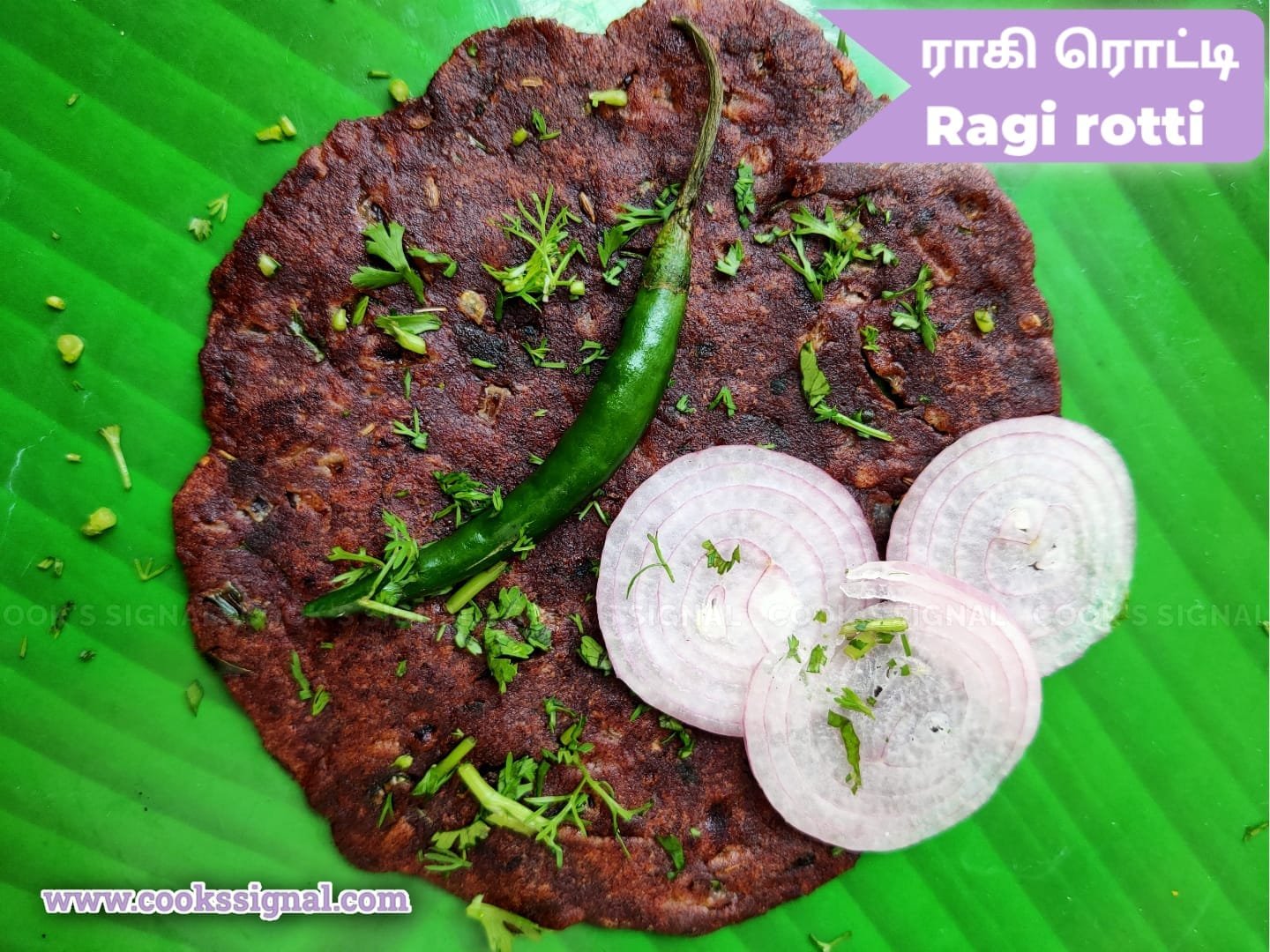 Villege Style Ragi Rotti Recipe at Home - The Cook's Signal