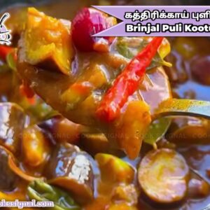 GRAMATHU KATHIRIKAI PULI KOOTU IN TAMIL